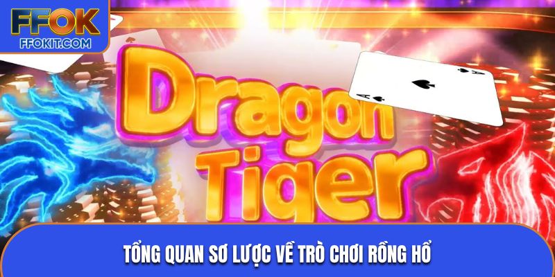 Tổng quan sơ lược về trò chơi Rồng Hổ