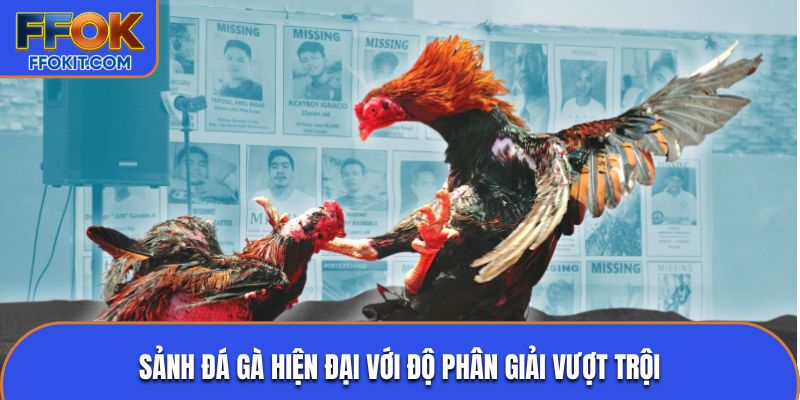 Sảnh đá gà hiện đại với độ phân giải vượt trội