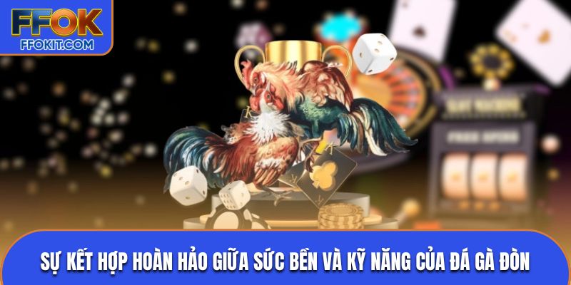 Sự kết hợp hoàn hảo giữa sức bền và kỹ năng của đá gà đòn