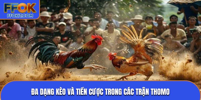 Đa dạng kèo và tiền cược trong các trận Thomo