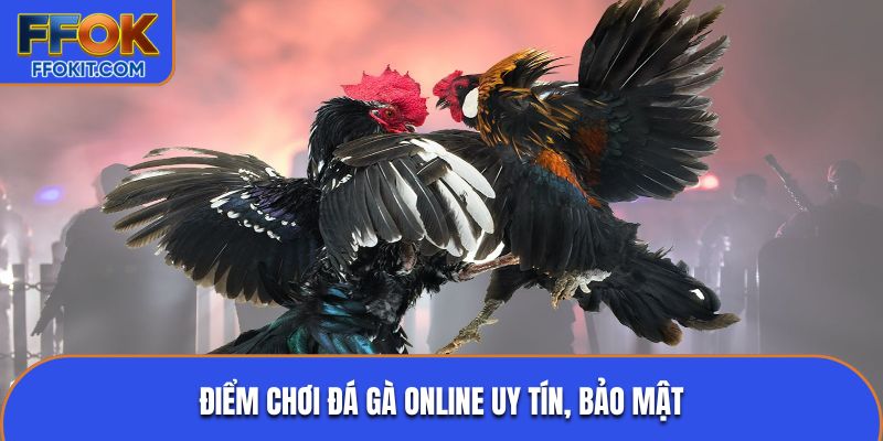 Điểm chơi đá gà online uy tín, bảo mật