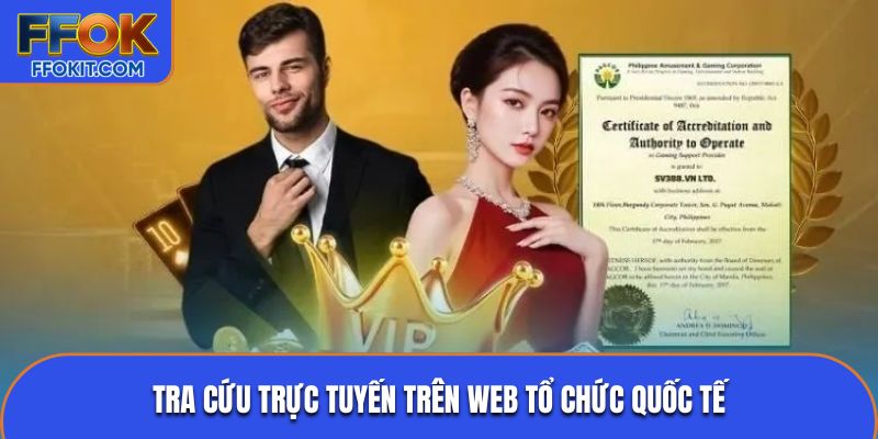 Tra cứu trực tuyến trên web tổ chức quốc tế